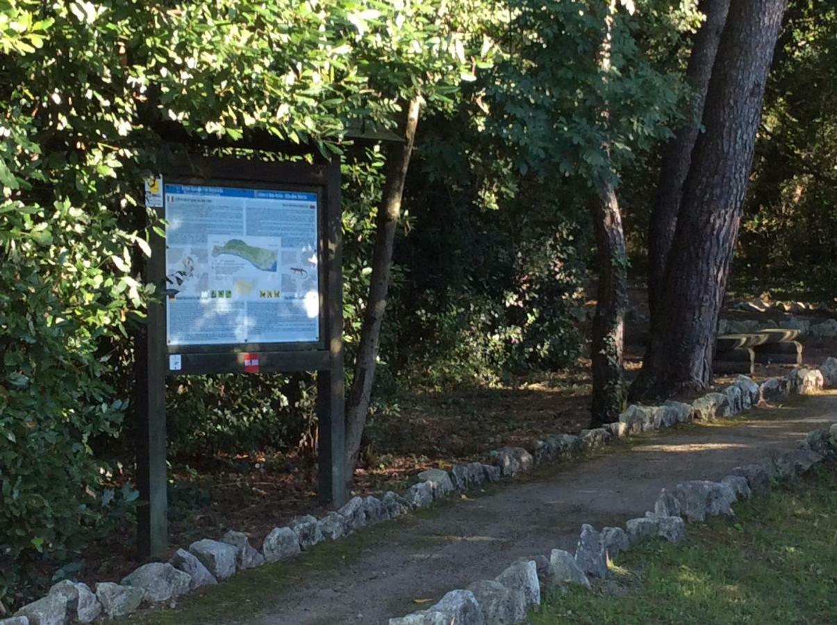 Casa Vacanze All'Orizzonte Duino Dış mekan fotoğraf